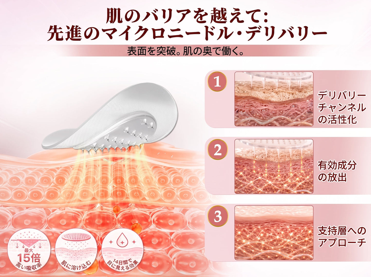 🎁 残りあと5箱のみ！今ならさらに50%OFF！理想の体型と健康を手に入れましょう。今を逃すと、次のチャンスは来年までありません。