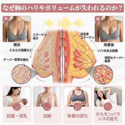 🎁 残りあと5箱のみ！今ならさらに50%OFF！理想の体型と健康を手に入れましょう。今を逃すと、次のチャンスは来年までありません。